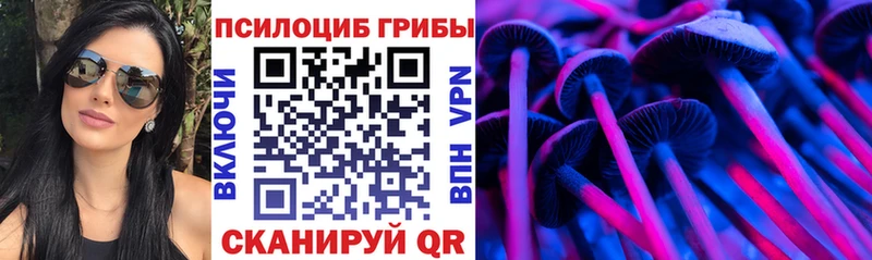Псилоцибиновые грибы мицелий  omg маркетплейс  Избербаш 
